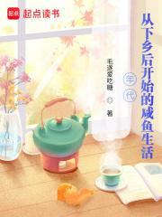下乡的年代文
