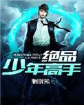 绝品少年高手免费