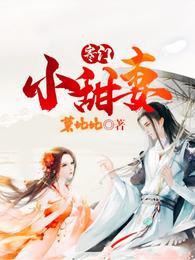 寒门宠妻免费阅读