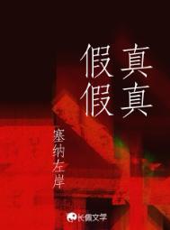 真真假假真真