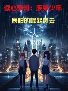 辰阳投资
