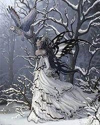 雪莲子的功效与作用及做法